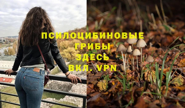 первитин Алексин
