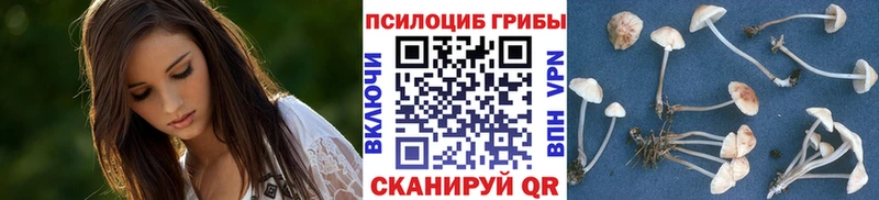 Галлюциногенные грибы Psilocybe  Елизово 